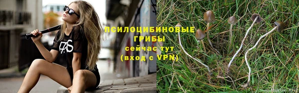 гидропоника Алексин