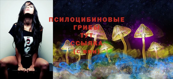 трава Алзамай