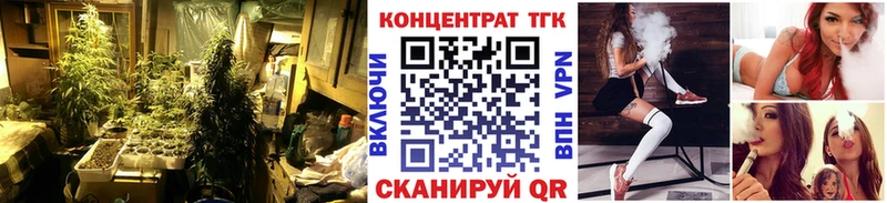 купить  цена  Клин  ТГК гашишное масло 