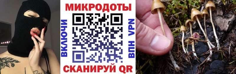 Галлюциногенные грибы MAGIC MUSHROOMS  omg маркетплейс  Клин 