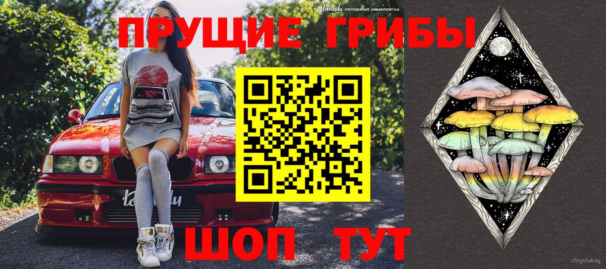 Клин  Псилоцибиновые грибы Psilocybe  Вход с VPN 